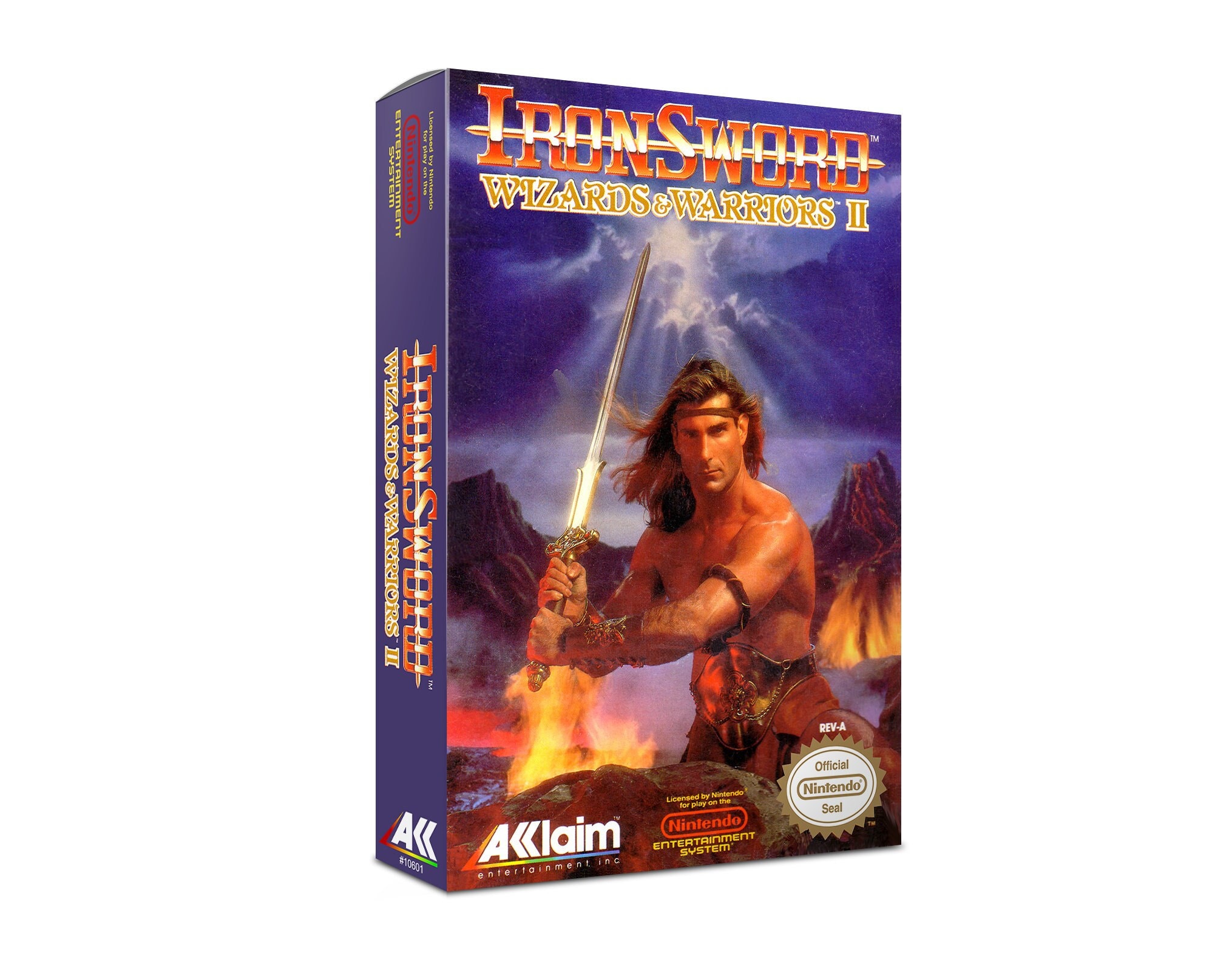 Iron Sword Wizzards and warriors II